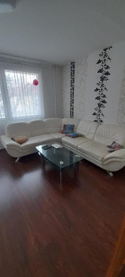 Apartman Železná Ruda Exterior foto